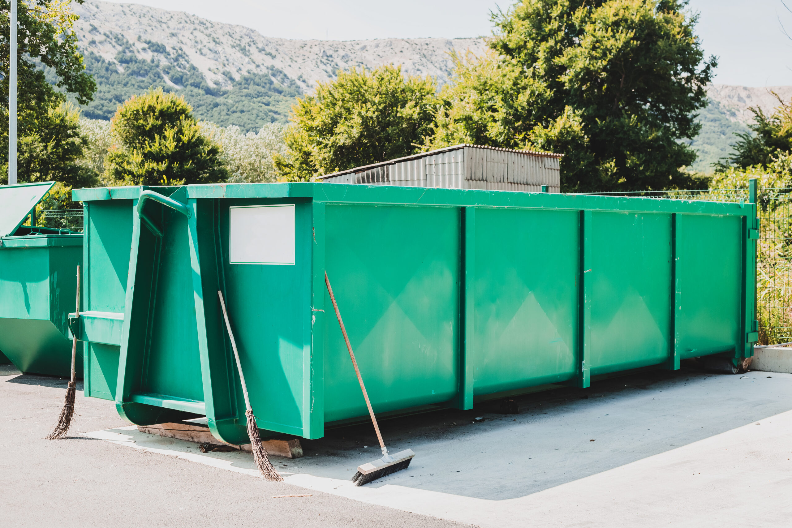 Dumpster Rental for House Cleanout